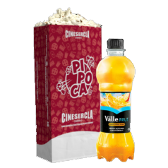 Banner Combo  Suco G